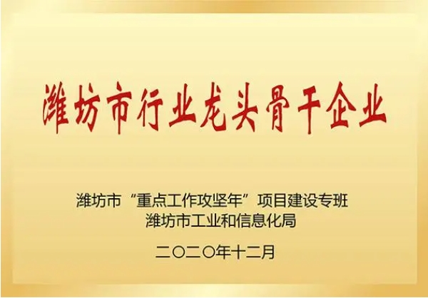 行业龙头骨干企业
